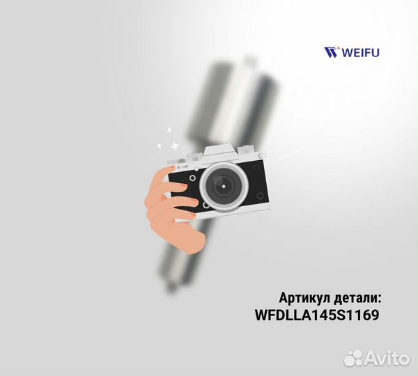 Распылитель 0433271698 weifudlla145S1169
