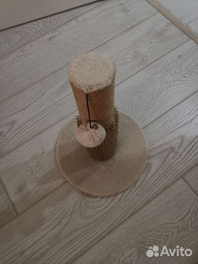 Когтеточка для котят