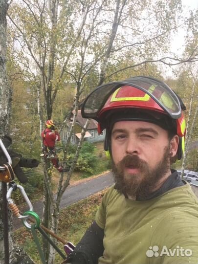 Спил обрезка деревьев. Расчистка участка. Бюджетно