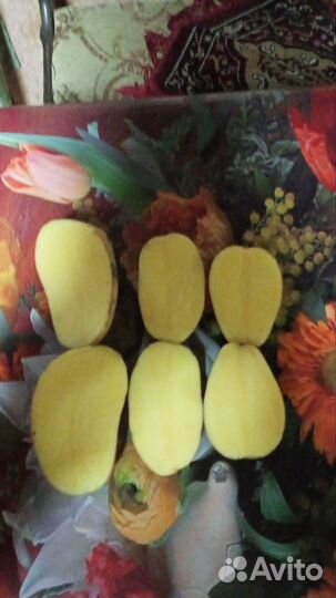 Продам картофель