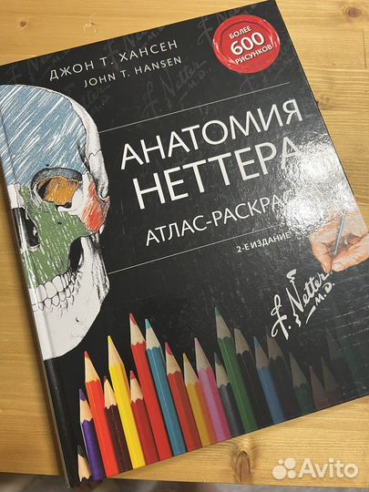 Анатомия Неттера расскраска