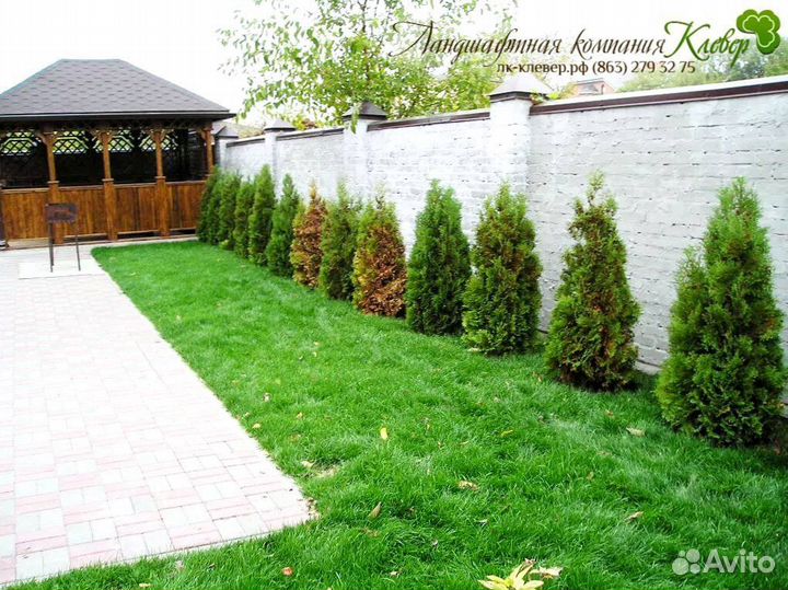 Рулонный газон производство, доставка, укладка