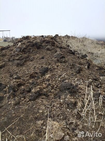 Перегной Навоз Коровий