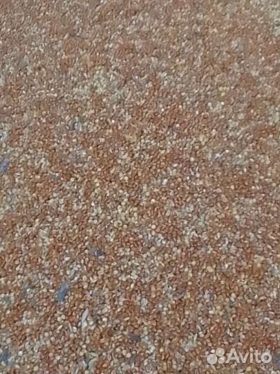 Зерно просо красное ячмень рож