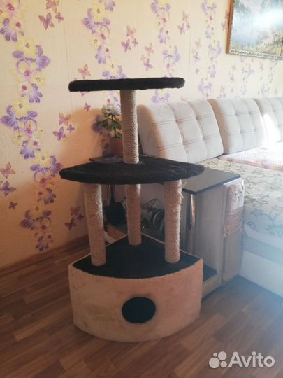 Домик для кошки с когтеточкой бу