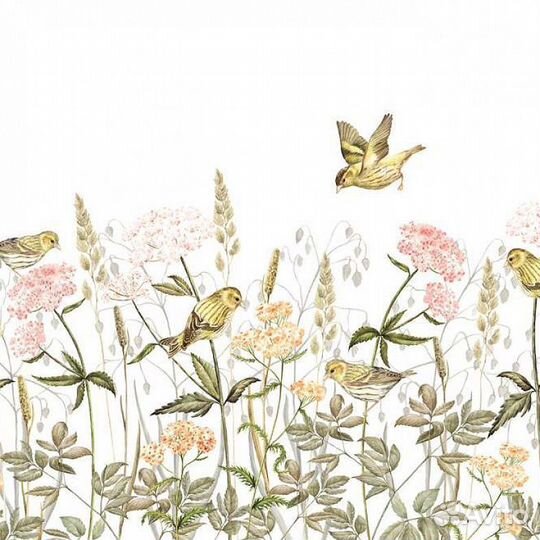 Детские фотообои 