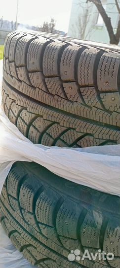 Matador MP 50 Sibir Ice 2 6/6 R6