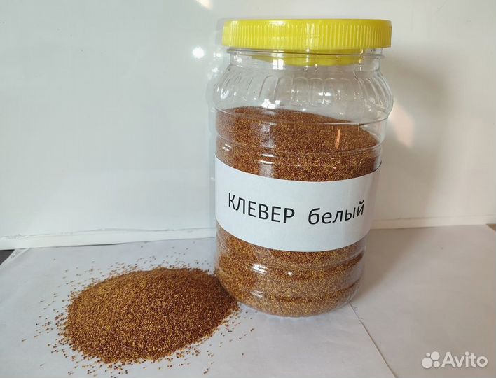 Семена клевера белого