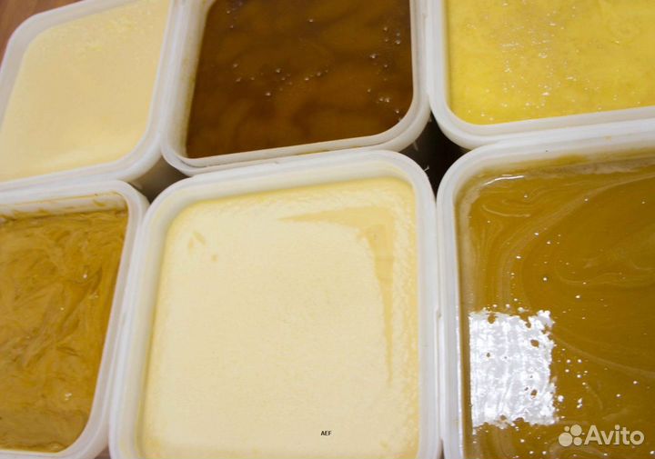 2024 Мед натуральный из Алтая оптом