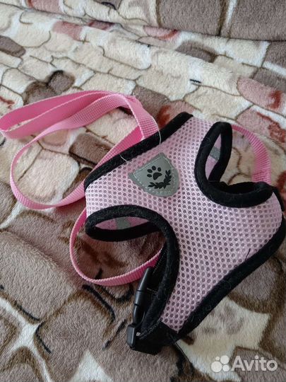 Шлейка для кошки