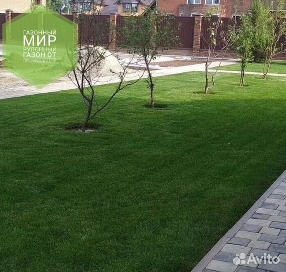 Рулонный газон