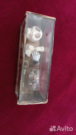 Коробочка-предсказаний, ясновидец, предсказатель