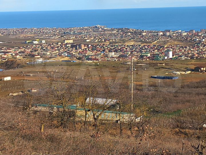 Участок 4 сот. (СНТ, ДНП)