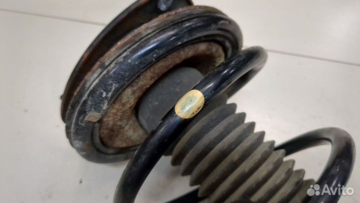 Амортизатор подвески Suzuki Liana, 2005