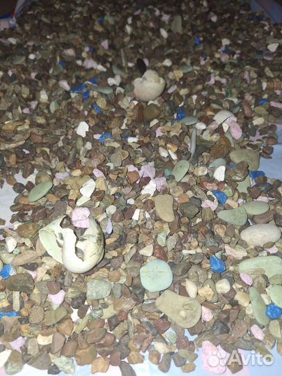 Грунт для аквариума