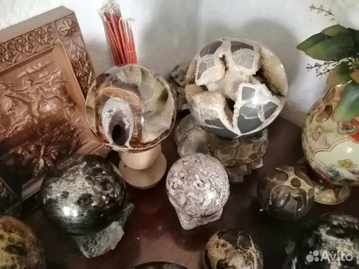 Окаменелости. Минералы. Жеоды. Септарии. Аммониты