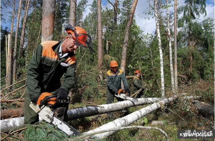 Требуется разнорабочий