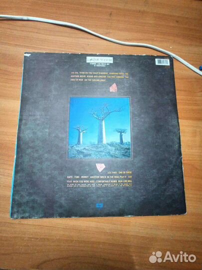 Pink Floyd Delicate Sound of Thunder, 