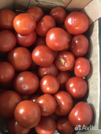 Фрукты овощи на заготовки