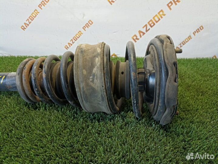 Амортизатор передний левый Nissan Primera P11