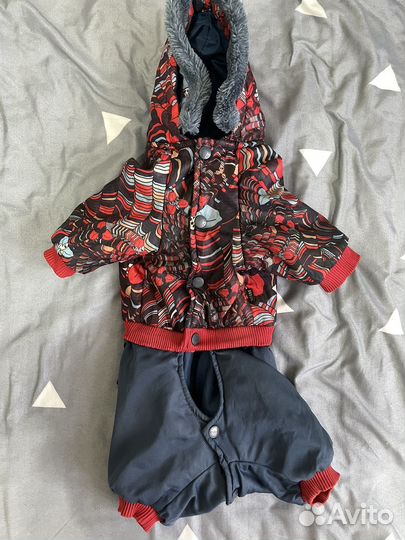 Одежда для маленьких собак