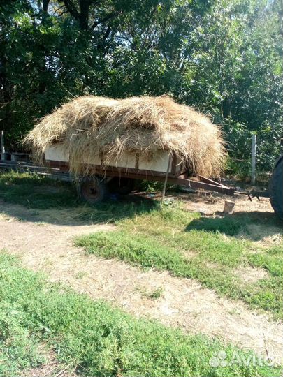 Трактор ЛТЗ Т-40AM, 1977