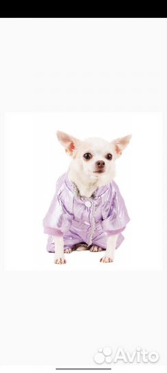 Комбинезон для средней собаки