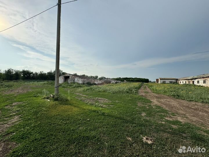 Хозяйственные постройки