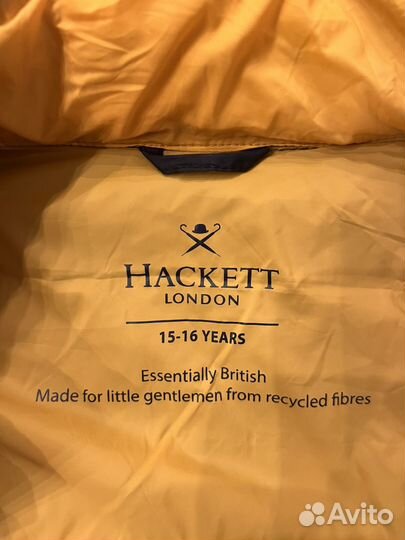 Жилет Hackett