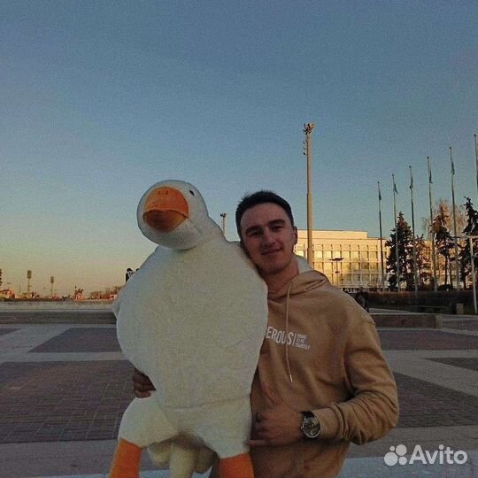 Репетитор по математике, информатике