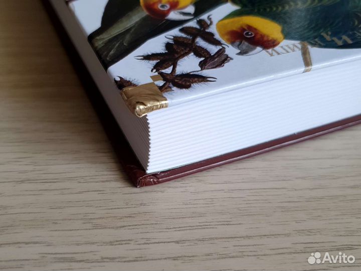 Три билета до Эдвенчер Обложка- лен Д. Даррелл