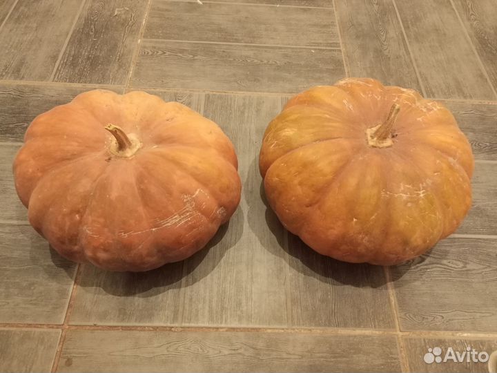 Картофель, тыква