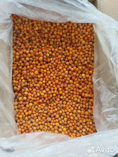 Брусника,клюква,черника,клубника,малина(заморозка)