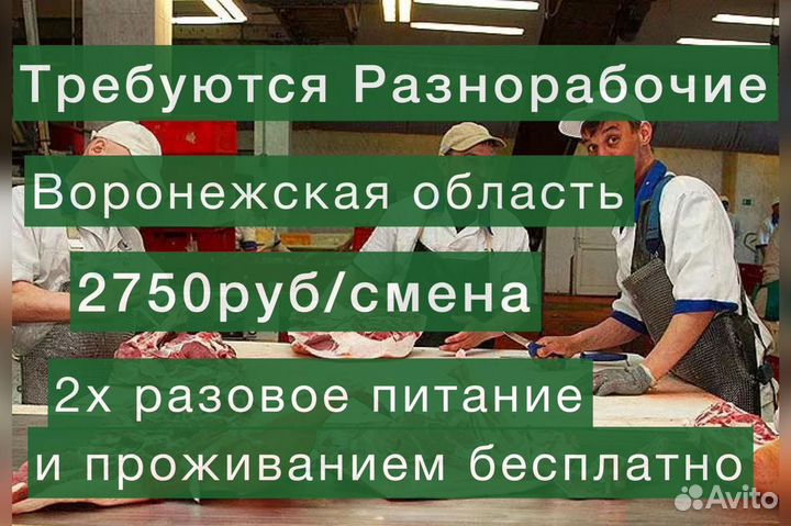 Вахта с проживанием и 2х разовым питанием. Воронеж
