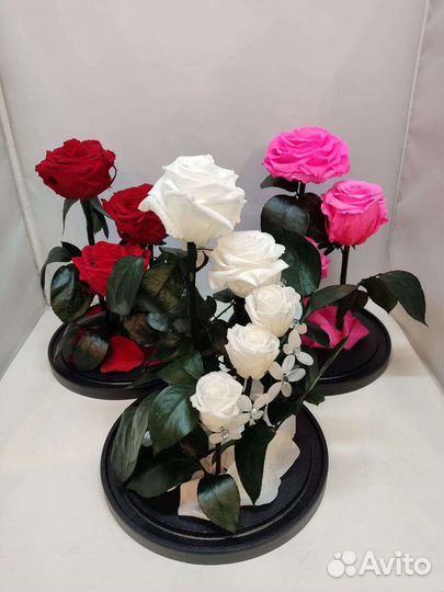 Роза в колбе