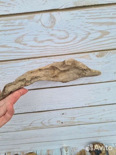 Дрифтвуд коряги набор