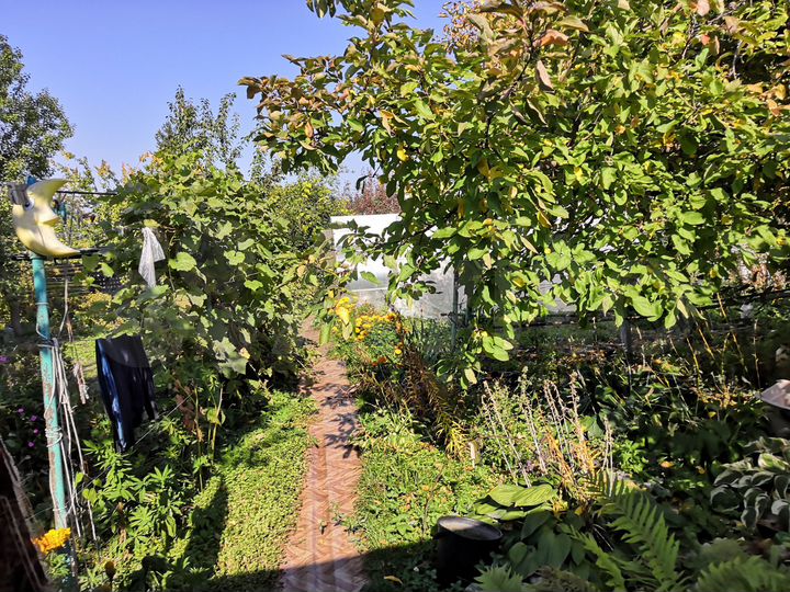 Дача 20 м² на участке 6 сот.