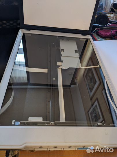 Сканер Epson perfection v19