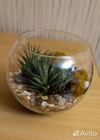 Флорариум с суккулентами в вазе-шаре