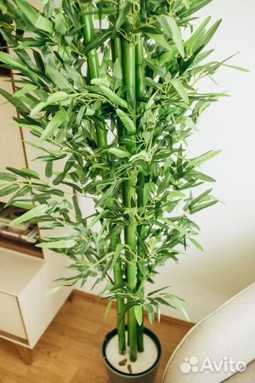Бамбук искуственный зелёный