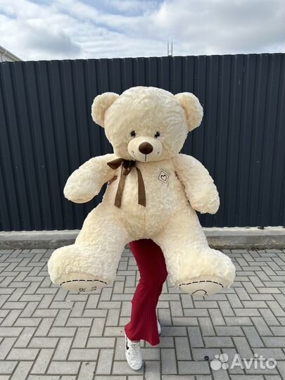 Большие плюшевые медведи