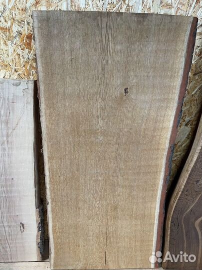 Слэб многовекового дуба