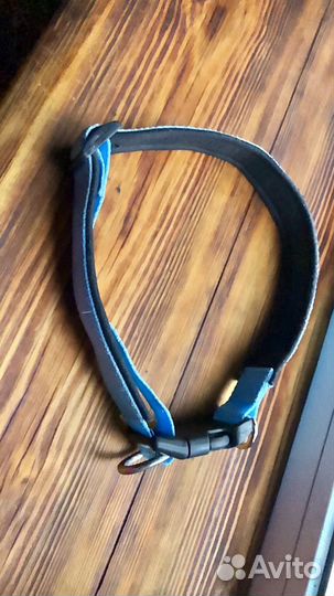 Амуниция для собак на заказ