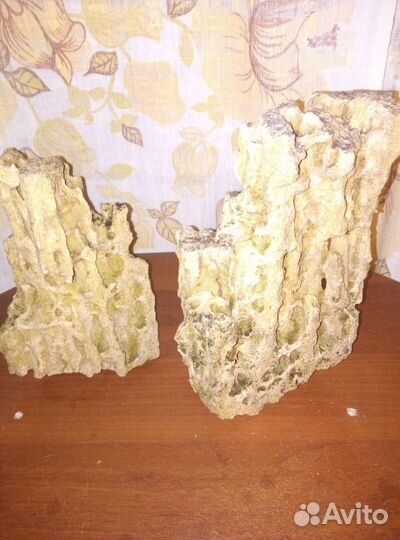 Всё для аквариумов