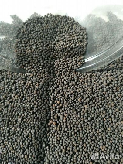 Пропант, Лава, Шунгит, Органика