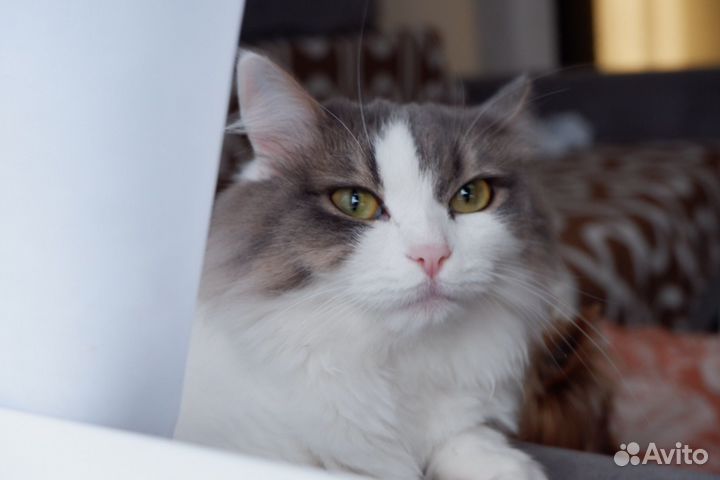 В самые заботливые добрые любящие руки