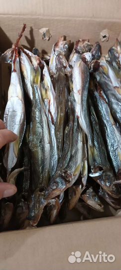 Корюшка вяленая