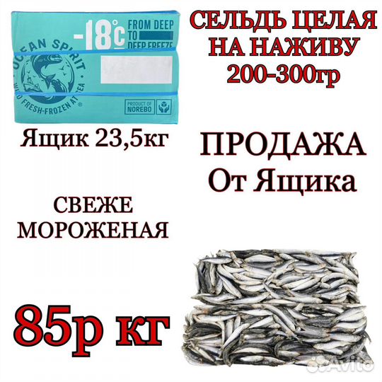 Сельдь на наживу