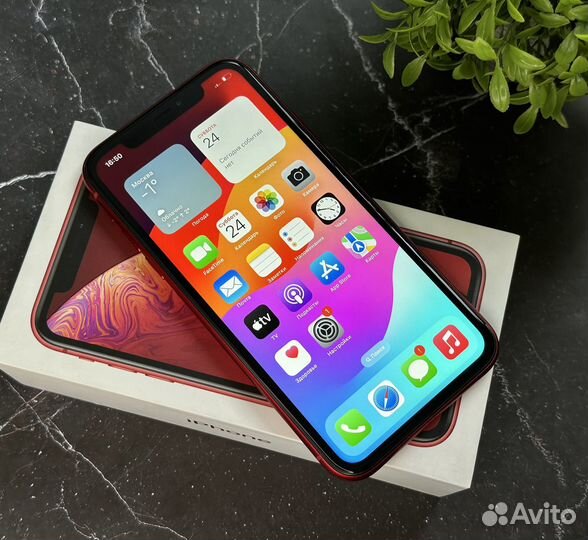 iPhone Xr, 64 ГБ