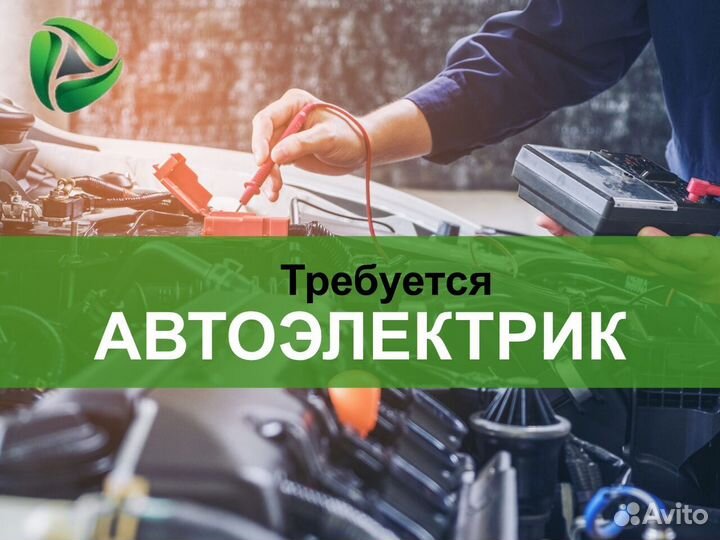 Автоэлектрик в Елабугу